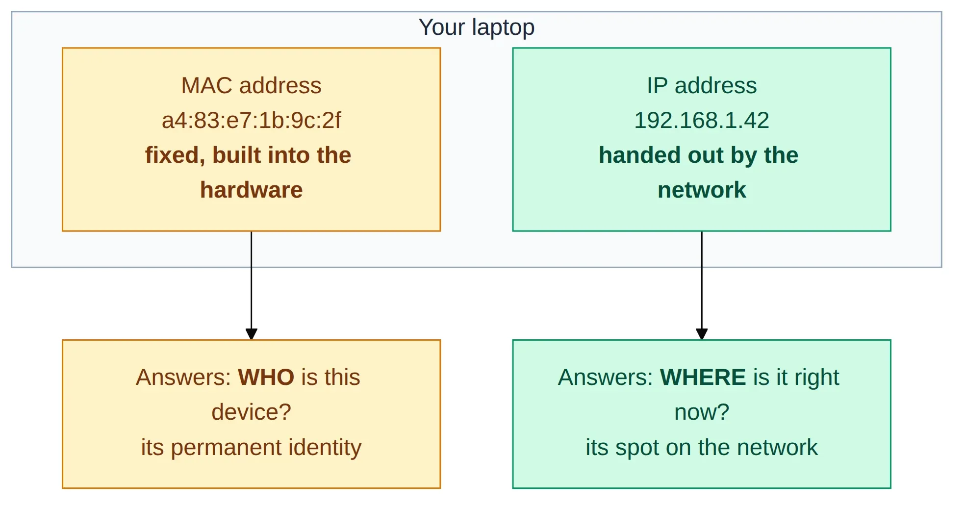 One device with both a MAC address and an IP address, each answering a different question